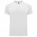 Футболка спортивная мужская "Bahrain 135" TM Roly разные цвета