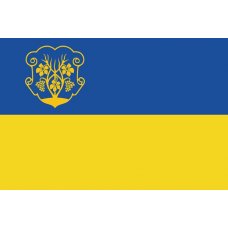 Флаг Ужгорода, размер и ткань на выбор Флаг Ужгорода, размер и ткань на выбор